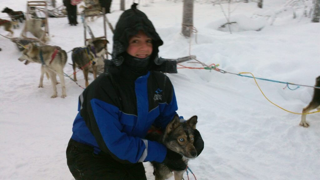 husky tocht fins lapland